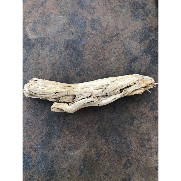 Other - Natural Driftwood for Plants Terrarium Taxidermy Art Projects